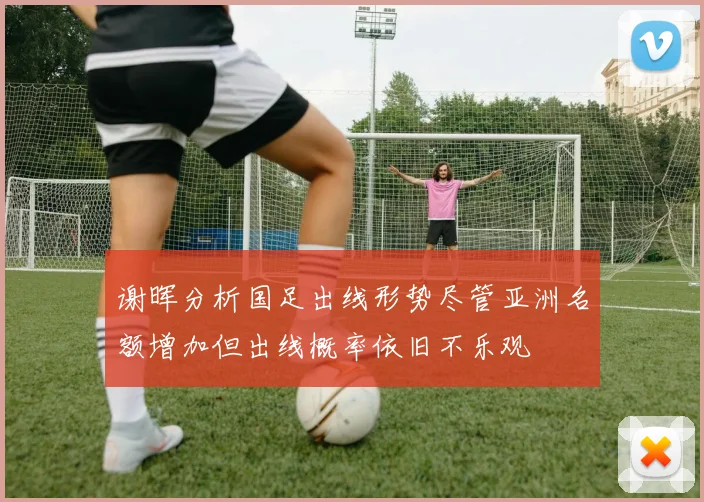 谢晖分析国足出线形势尽管亚洲名额增加但出线概率依旧不乐观